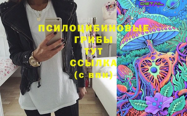 спиды Алексеевка