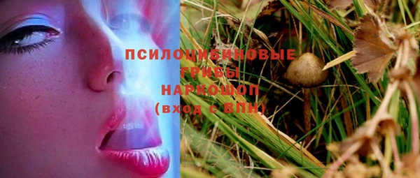 спиды Алексеевка