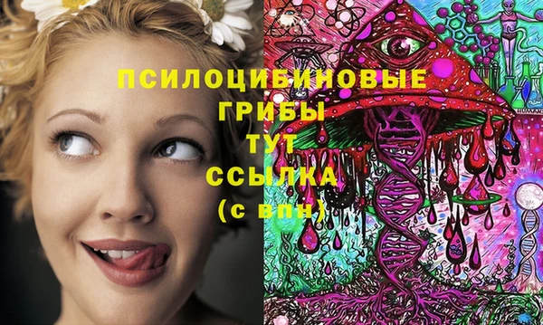 спиды Алексеевка