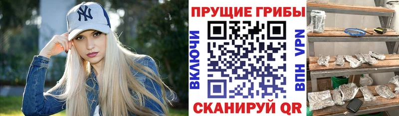 сколько стоит  ссылка на мегу ONION  Галлюциногенные грибы Magic Shrooms  Урай 
